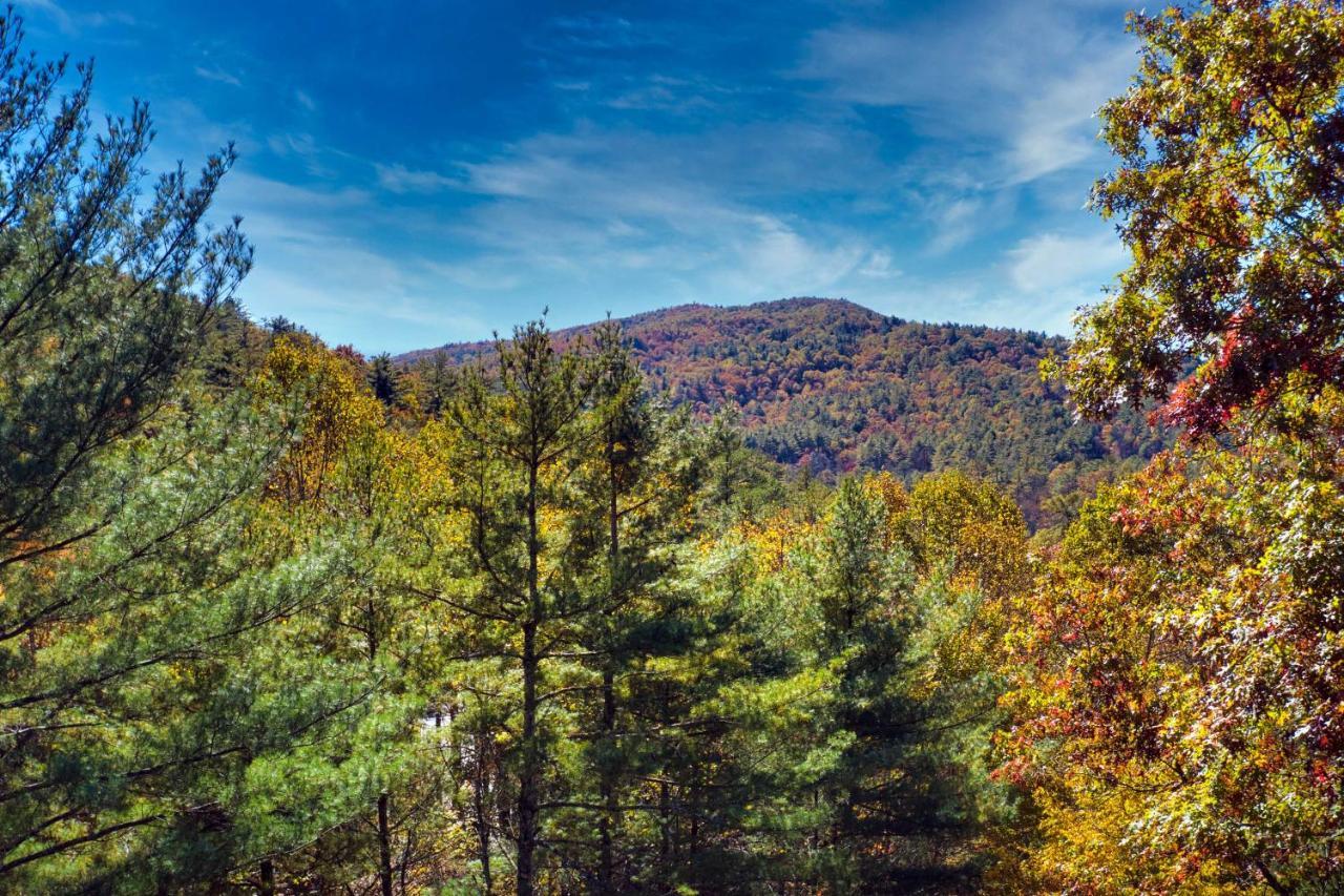 Heavenly Bearadise Cabin In Cashiers, Nc! Exterior foto